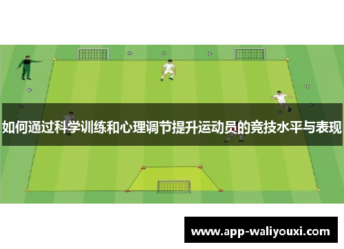 如何通过科学训练和心理调节提升运动员的竞技水平与表现