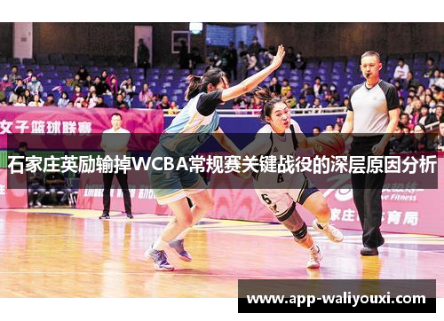 石家庄英励输掉WCBA常规赛关键战役的深层原因分析