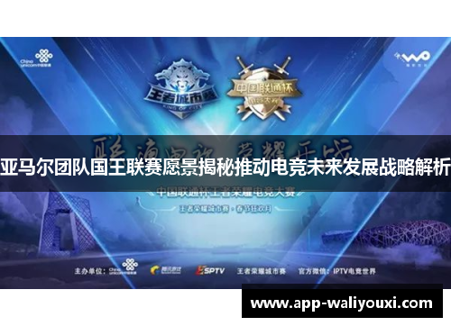 亚马尔团队国王联赛愿景揭秘推动电竞未来发展战略解析