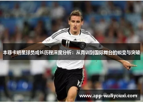 本菲卡明星球员成长历程深度分析：从青训到国际舞台的蜕变与突破