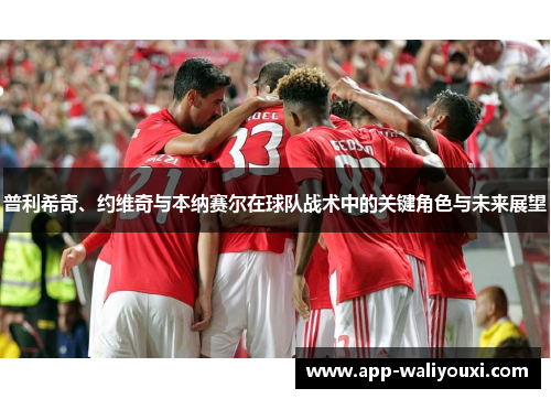 普利希奇、约维奇与本纳赛尔在球队战术中的关键角色与未来展望