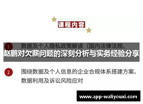 赵鹏对欠薪问题的深刻分析与实务经验分享