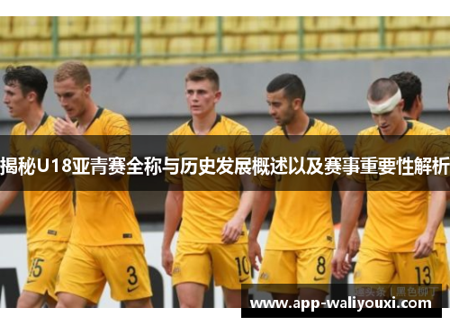 揭秘U18亚青赛全称与历史发展概述以及赛事重要性解析